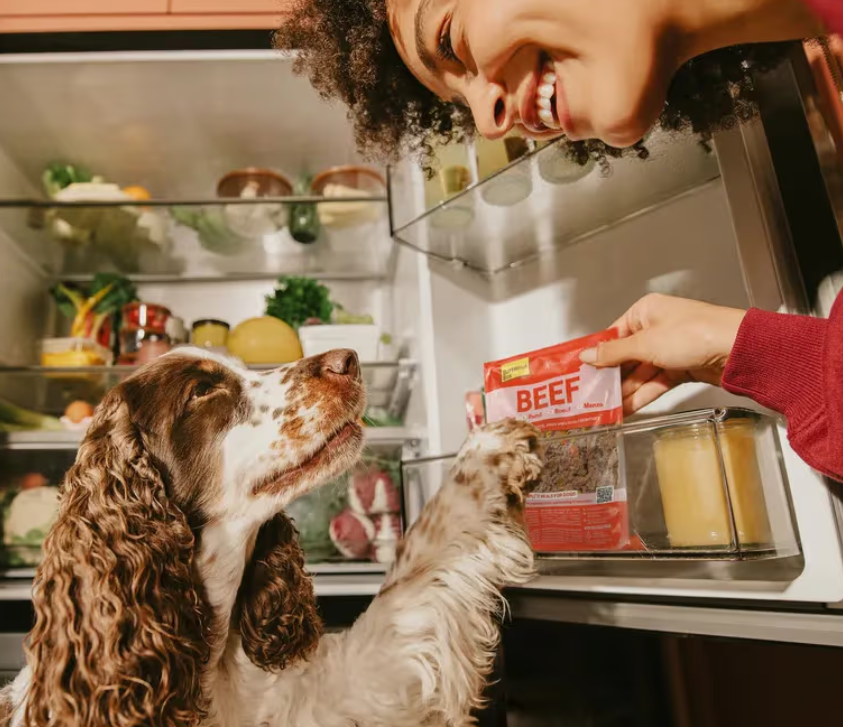 AGE's in hondenvoer: is vers eten echt beter dan brokken?